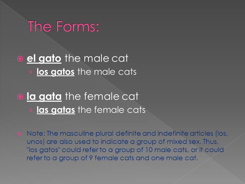 el gato the male cat los gatos the male cats la gata the female cat las gatas the female cats Note: The masculine plural definite and indefinite articles (los, unos) are also used to indicate a group of mixed sex.