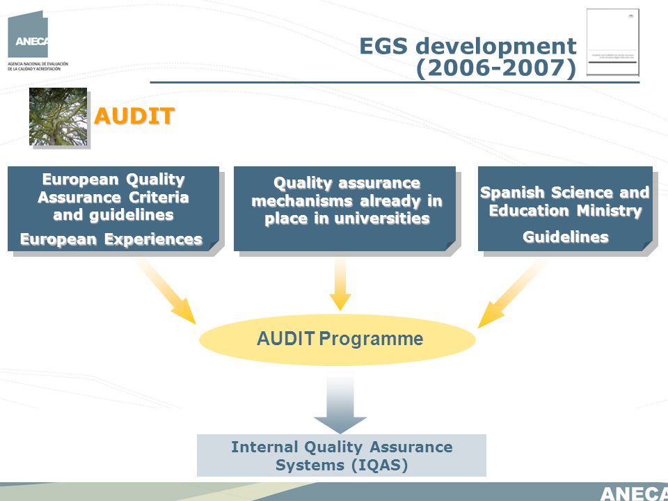 Spanish Science and Education Ministry Guidelines Quality assurance mechanisms already in place in universities European Quality Assurance Criteria and guidelines European Experiences AUDIT Programme Internal Quality Assurance Systems (IQAS) EGS development ( ) AUDIT