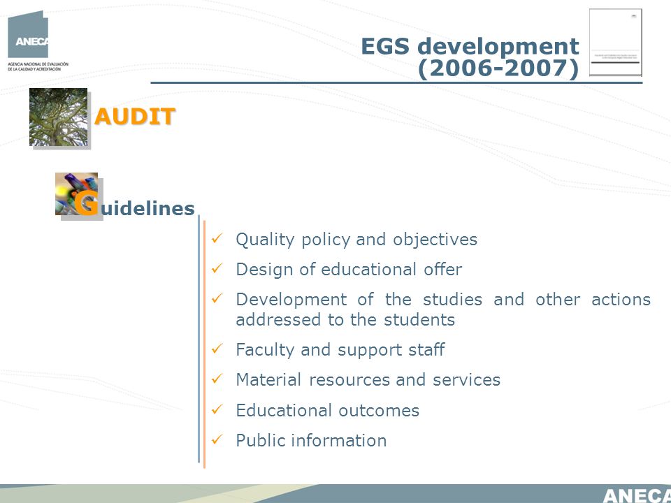 Quality policy and objectives Design of educational offer Development of the studies and other actions addressed to the students Faculty and support staff Material resources and services Educational outcomes Public information AUDIT G G uidelines EGS development ( )