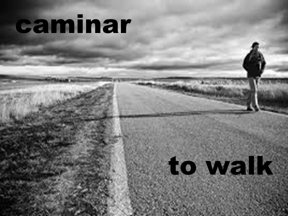 caminar to walk