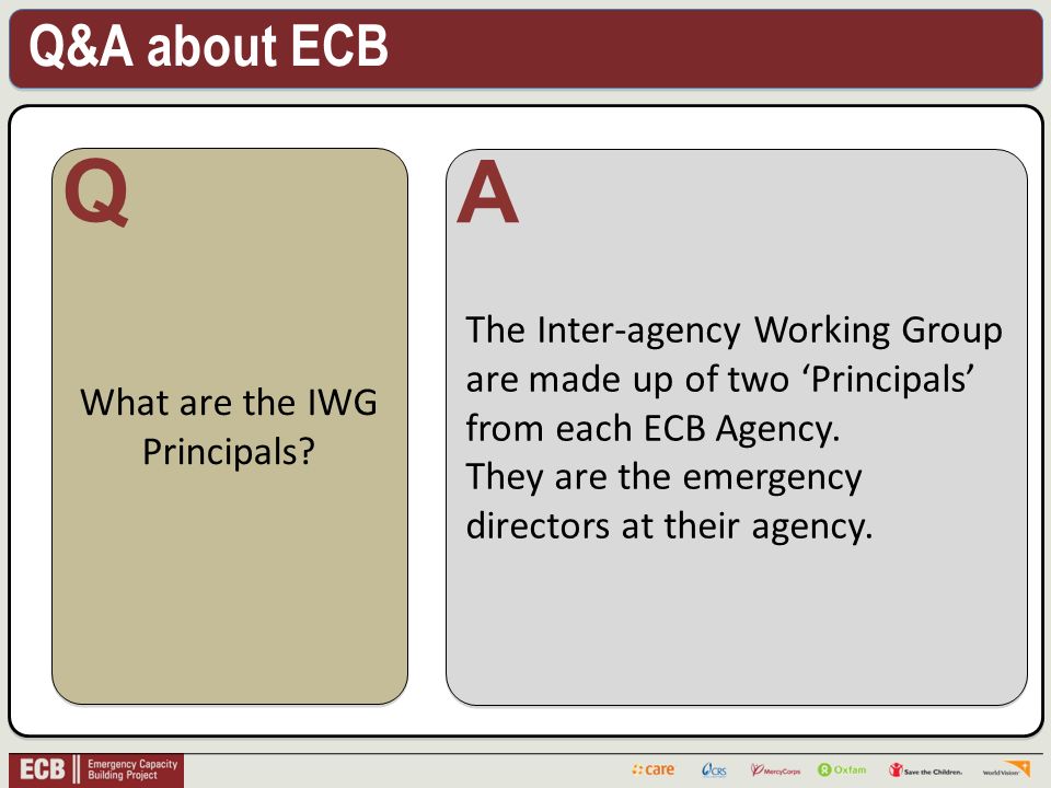 Q&A about ECB . What are the IWG Principals.