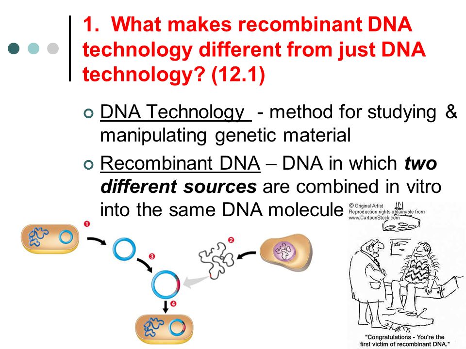 Recombinant Dna Worksheet Worksheets For School Beatlogcarnival Dna Technology Worksheet Delibertad