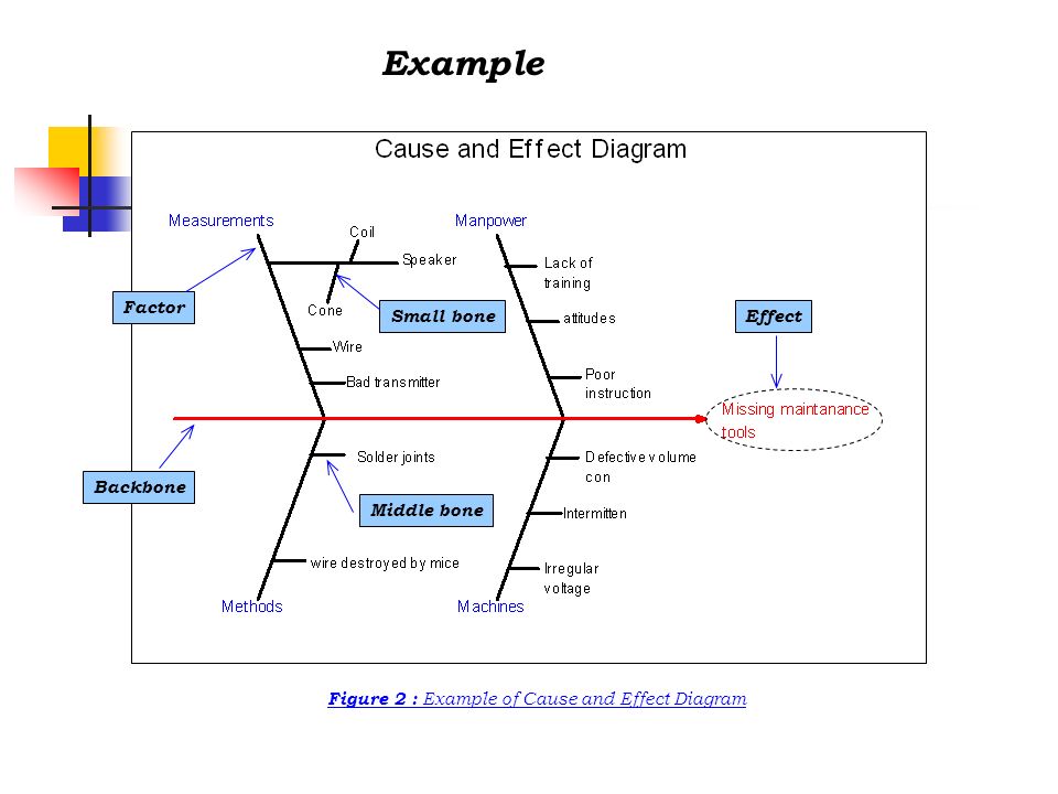 Thesis Statement Cause Effect Essay
