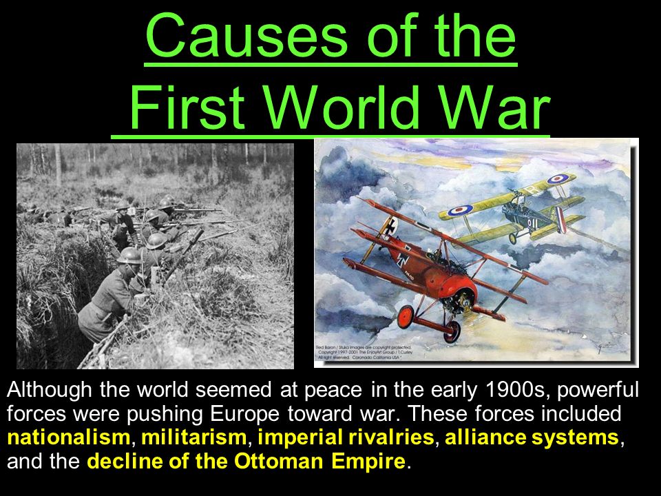 Essay On World War 1