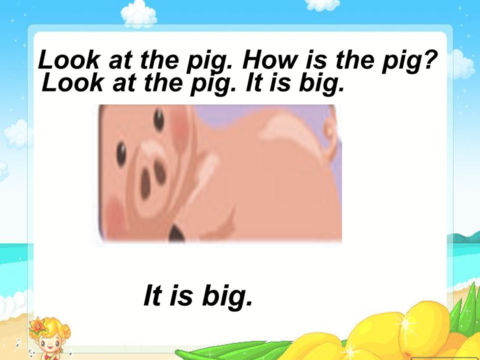 Whats this Its a pig.