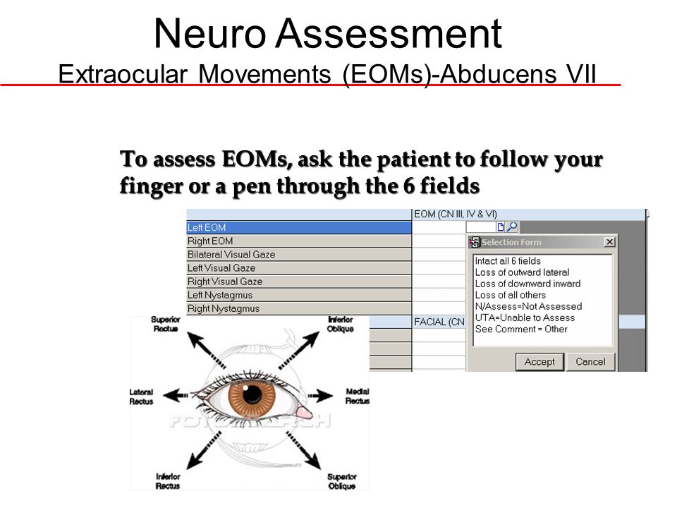neuro asessment Lpn 115 learn with flashcards, games, and more — for free. neuro asessment Lpn 115 learn with flashcards, games, and more — for free.