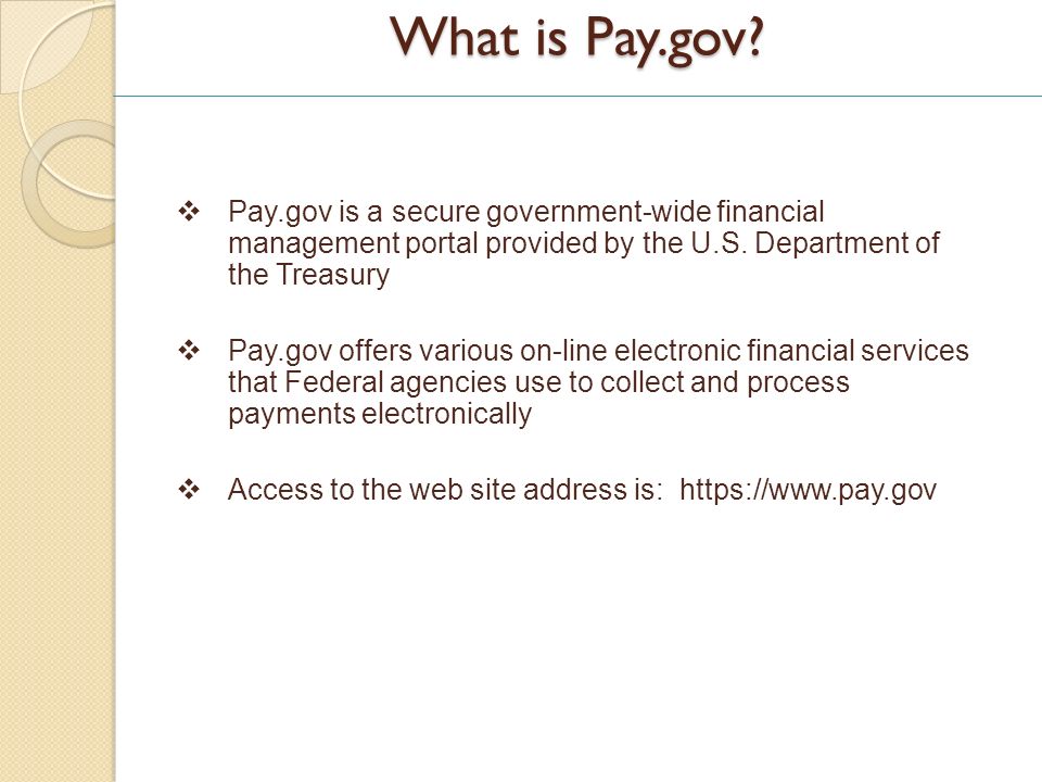 What is Pay.gov.