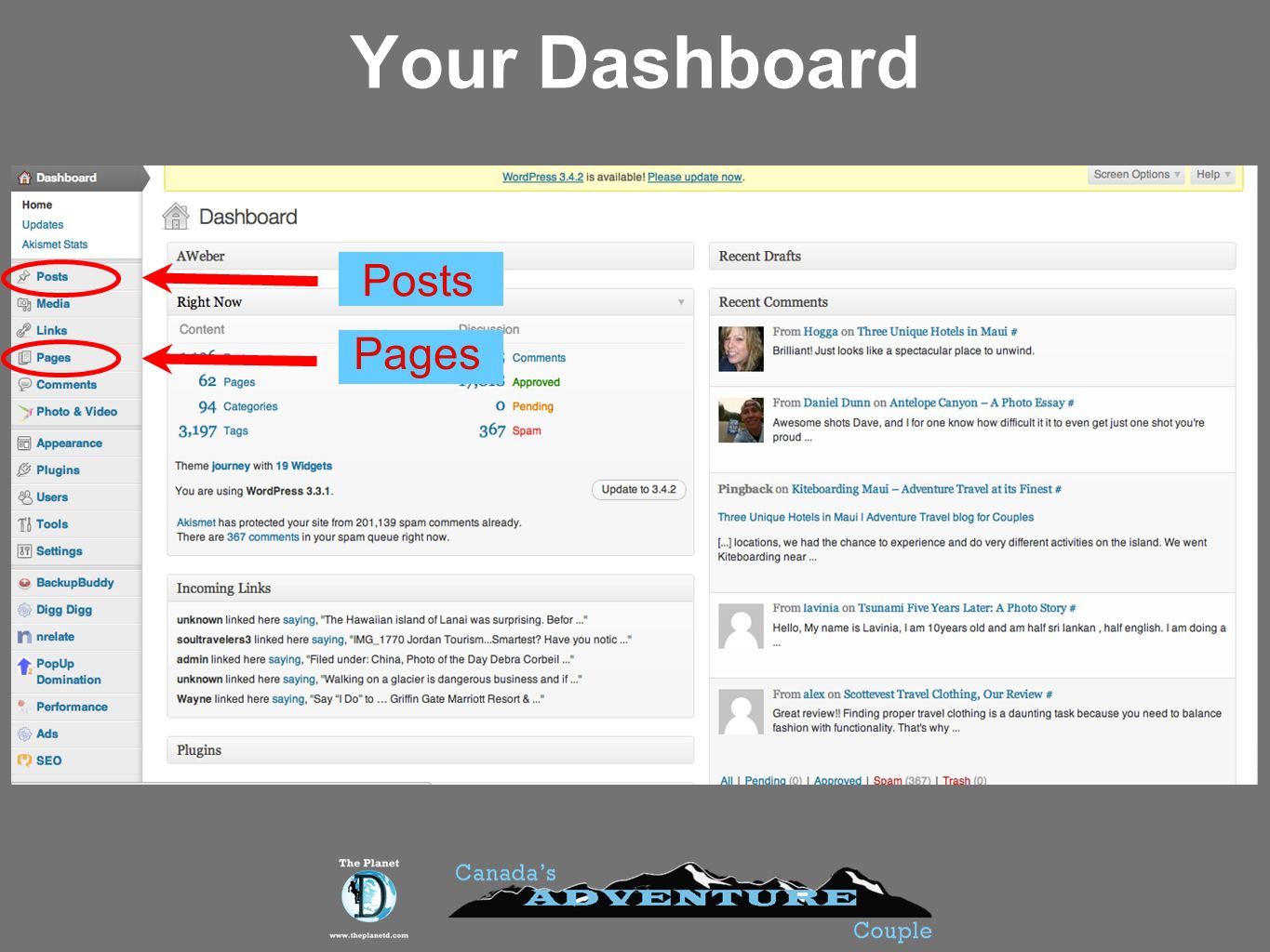 Your Dashboard Posts Pages