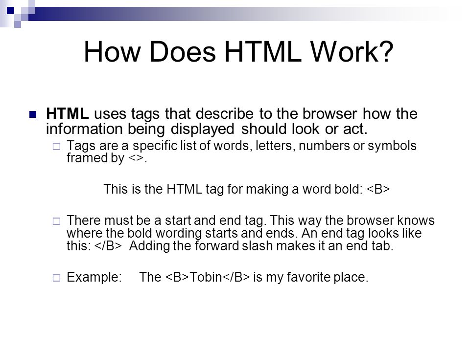 How Does HTML Work.