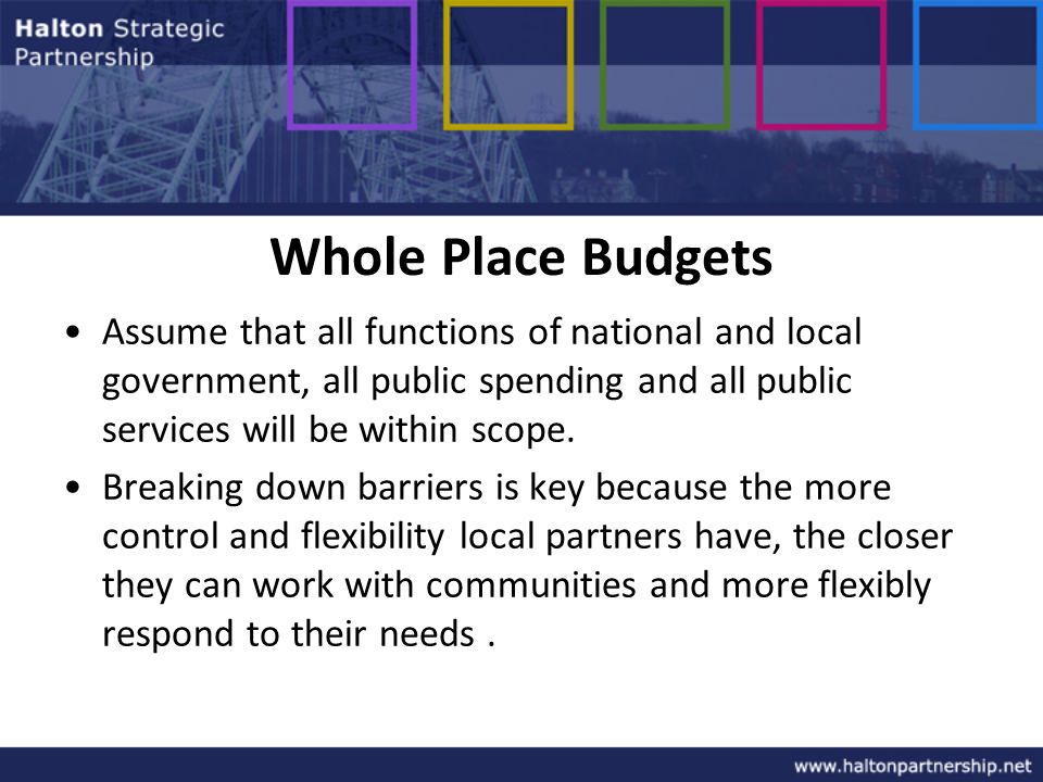 Whole Place Budgets Assume that all functions of national and local government, all public spending and all public services will be within scope.