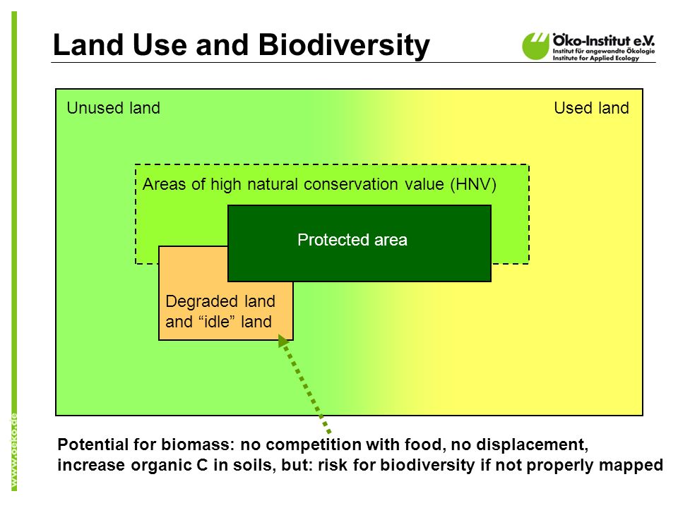 Land Use and Biodiversity Areas of high natural conservation value (HNV) Degraded land and idle land Used landUnused land Protected area Potential for biomass: no competition with food, no displacement, increase organic C in soils, but: risk for biodiversity if not properly mapped