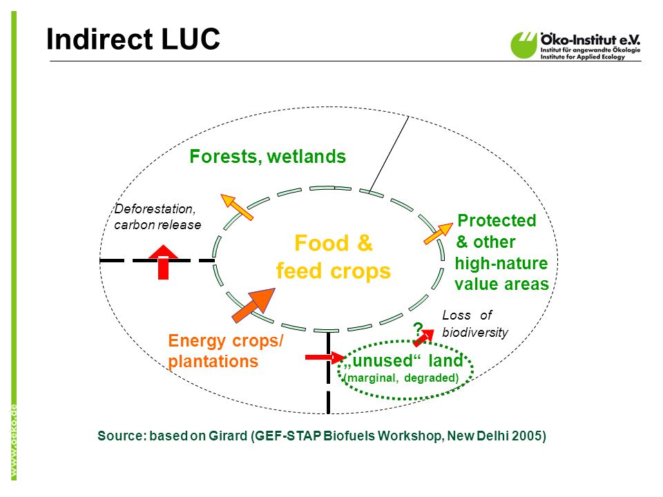 Indirect LUC Source: based on Girard (GEF-STAP Biofuels Workshop, New Delhi 2005) Food & feed crops Protected & other high-nature value areas Energy crops/ plantations Lossof biodiversity Forests, wetlands Deforestation, carbon release unused land (marginal, degraded)