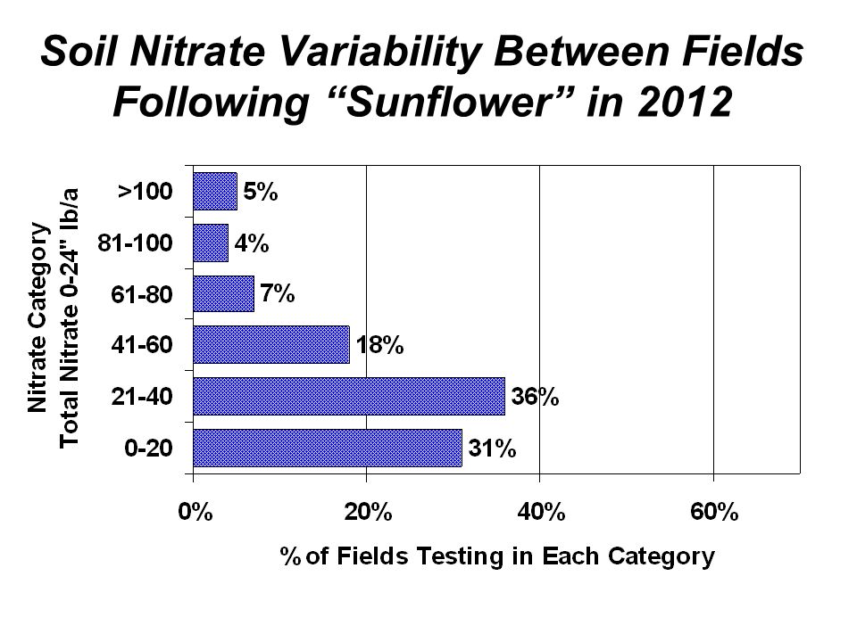 Soil Nitrate Variability Between Fields Following Sunflower in 2012
