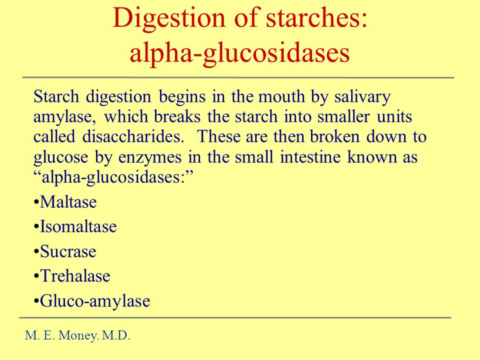 saliva and starch digestion essay saliva and starch digestion essay
