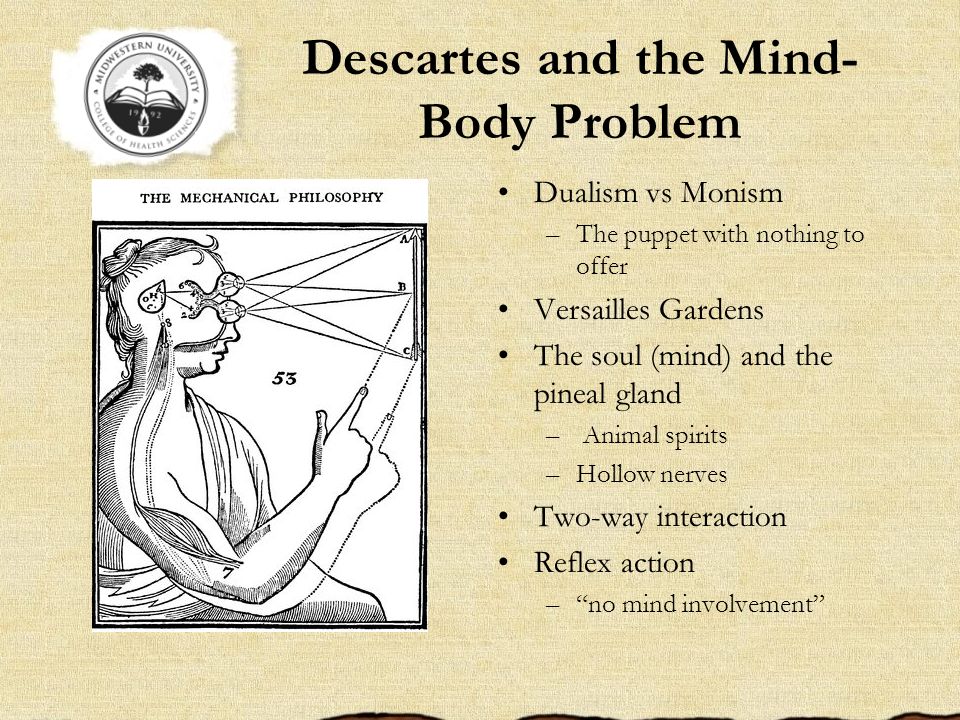 an analysis of the review of the current theories of dualism and materialism The soul persists but the body does not, many religions hold, but what if consciousness is just a result of the physical and nothing more this is what modern materialists hold materialism a brief history materialism rose through the ranks with the advent of physical scientific enquiry, and the shift from thinking about the brain. an analysis of the review of the current theories of dualism and materialism The soul persists but the body does not, many religions hold, but what if consciousness is just a result of the physical and nothing more this is what modern materialists hold materialism a brief history materialism rose through the ranks with the advent of physical scientific enquiry, and the shift from thinking about the brain.