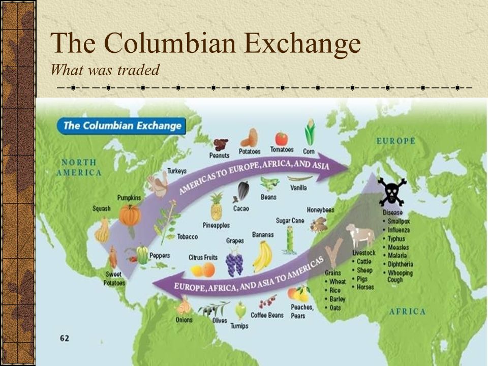 colombian exchange dbq essay colombian exchange dbq essay