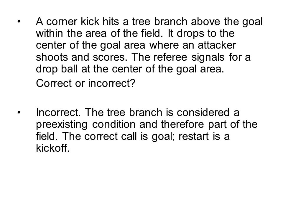 A corner kick hits a tree branch above the goal within the area of the field.