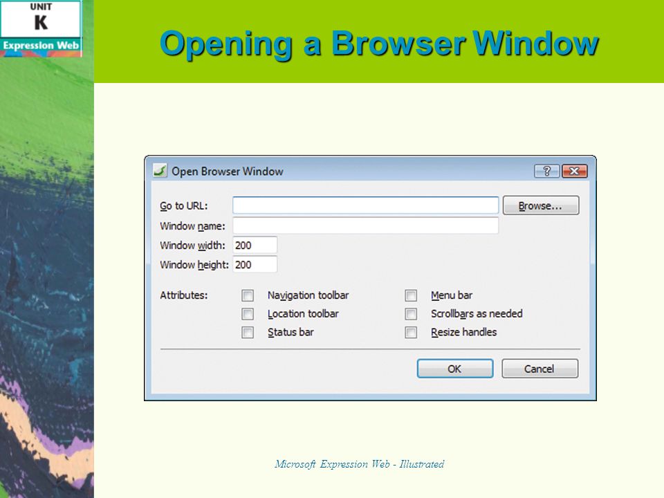 Opening a Browser Window Microsoft Expression Web - Illustrated