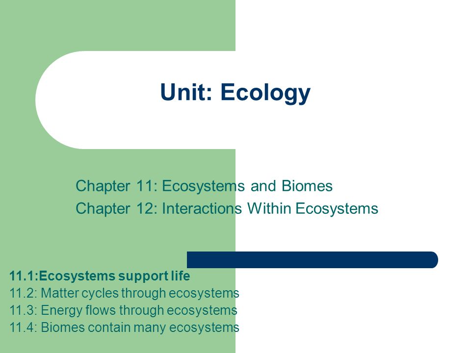 understanding nutrient interactions within simple ecosystem Populations and ecosystems unit map as a simple ecosystem case study understanding a food web diagram summative. understanding nutrient interactions within simple ecosystem Populations and ecosystems unit map as a simple ecosystem case study understanding a food web diagram summative.