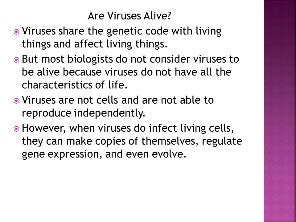 are bacteria alive essay are bacteria alive essay
