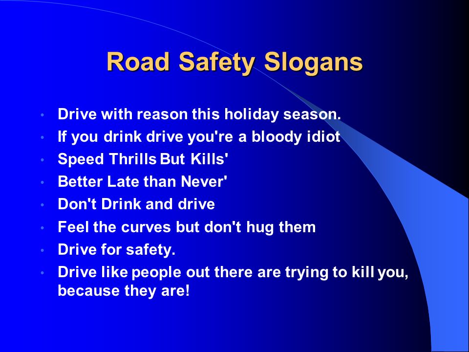 speed kills essay speed kills essay