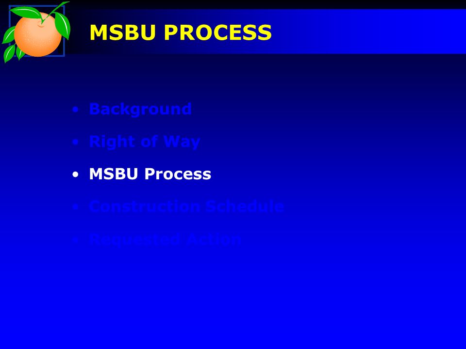 MSBU PROCESS Background Right of Way MSBU Process Construction Schedule Requested Action