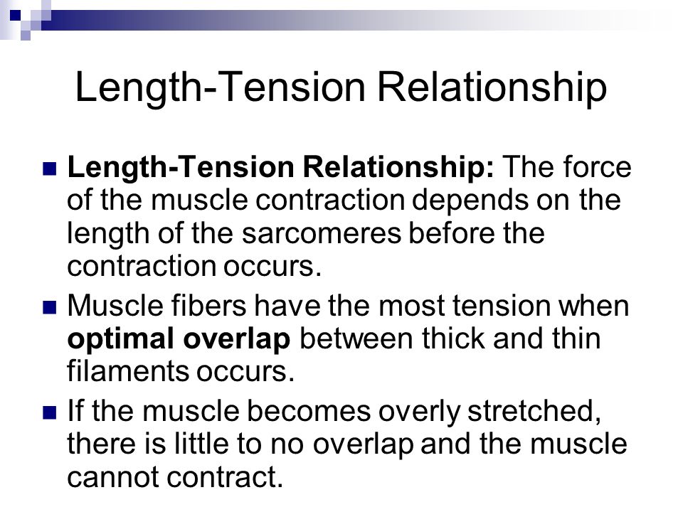 length and tension relationship Get expert answers to your questions in muscle damage, muscle, force and muscle fatigue and more on researchgate, the professional network for scientists. length and tension relationship Get expert answers to your questions in muscle damage, muscle, force and muscle fatigue and more on researchgate, the professional network for scientists.