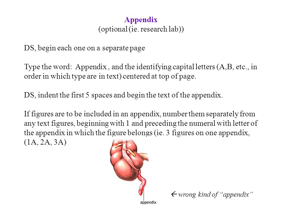 English Language Essay Topics Dante Essayjpg How To Write An Essay With A Thesis also How To Make A Thesis Statement For An Essay Dante Essay Gratviews Health Essay