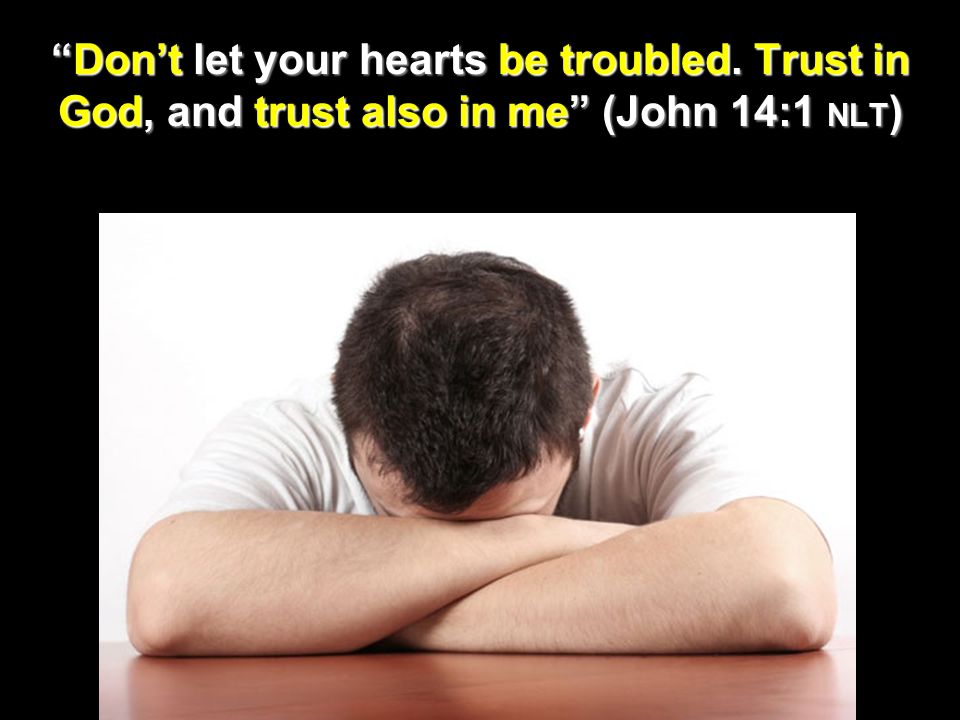 Your Heart Trust in the Lord with all your heart; do not depend on your own understanding (Prov.