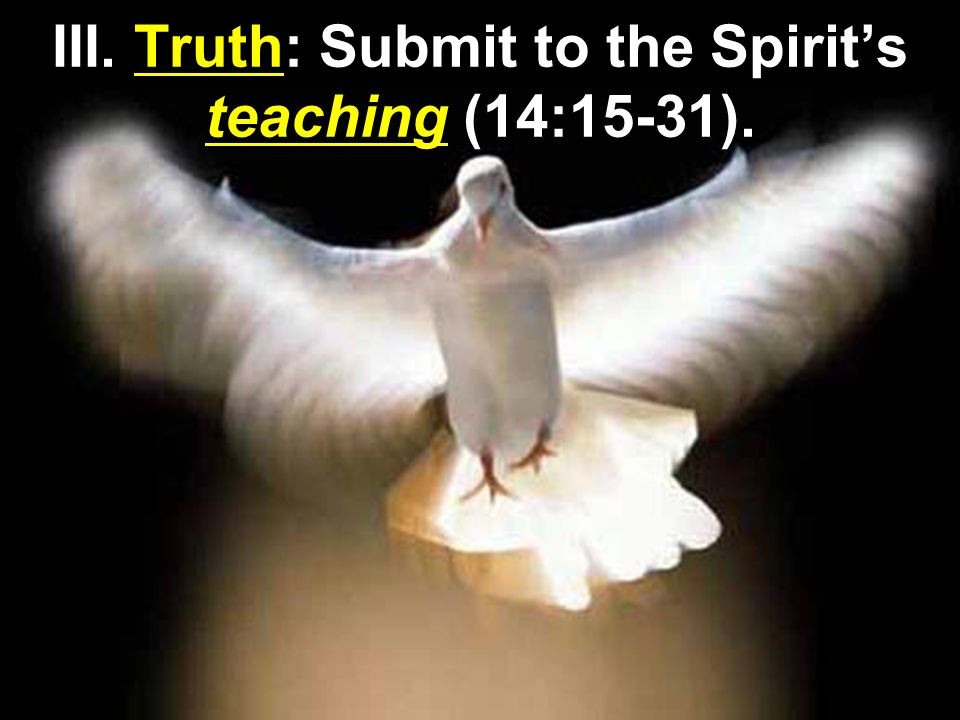 The Holy Spirit! How could the disciples cope once Jesus left them to return to heaven