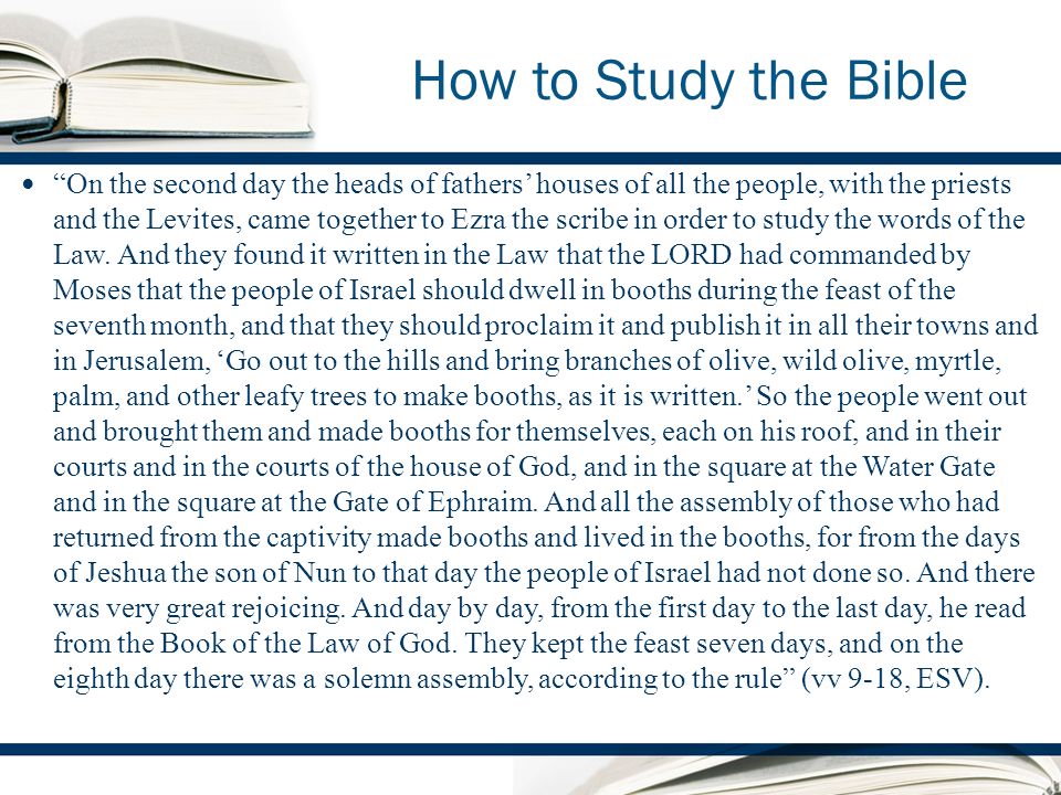 How to Study the Bible On the second day the heads of fathers houses of all the people, with the priests and the Levites, came together to Ezra the scribe in order to study the words of the Law.