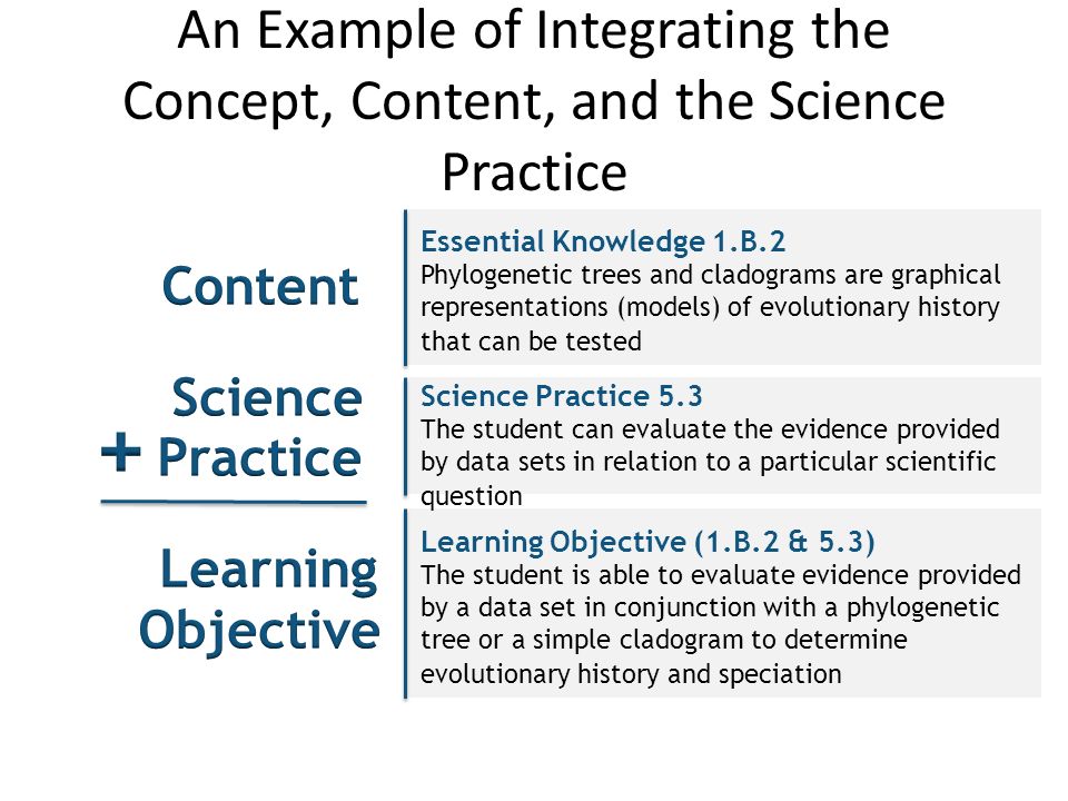 An Example of Integrating the Concept, Content, and the Science Practice Science Practice 5.3 The student can evaluate the evidence provided by data sets in relation to a particular scientific question Learning Objective (1.B.2 & 5.3) The student is able to evaluate evidence provided by a data set in conjunction with a phylogenetic tree or a simple cladogram to determine evolutionary history and speciation Essential Knowledge 1.B.2 Phylogenetic trees and cladograms are graphical representations (models) of evolutionary history that can be tested
