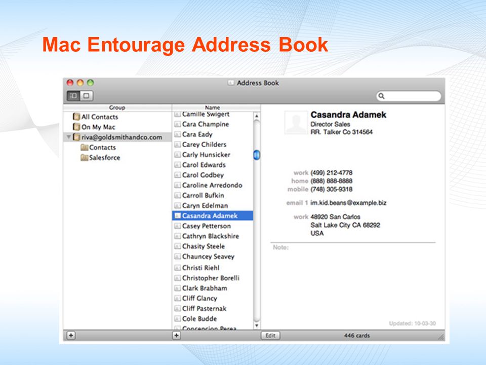 Mac Entourage Address Book