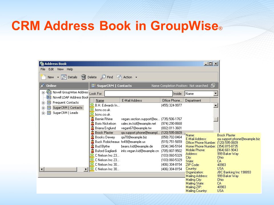 CRM Address Book in GroupWise ®