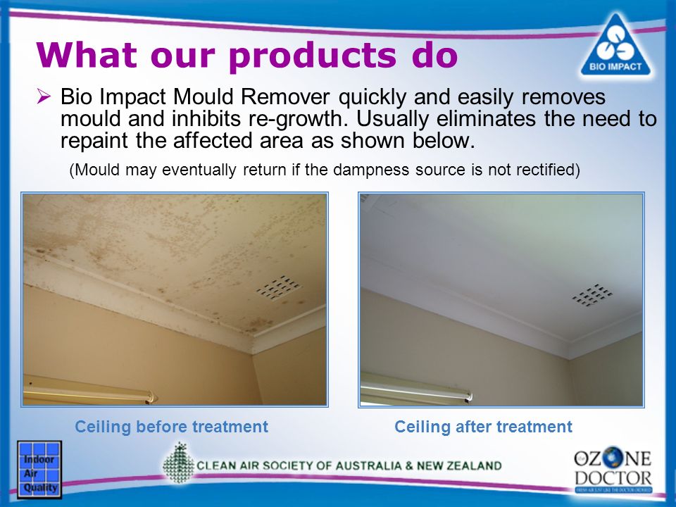 Ceiling before treatmentCeiling after treatment What our products do Bio Impact Mould Remover quickly and easily removes mould and inhibits re-growth.