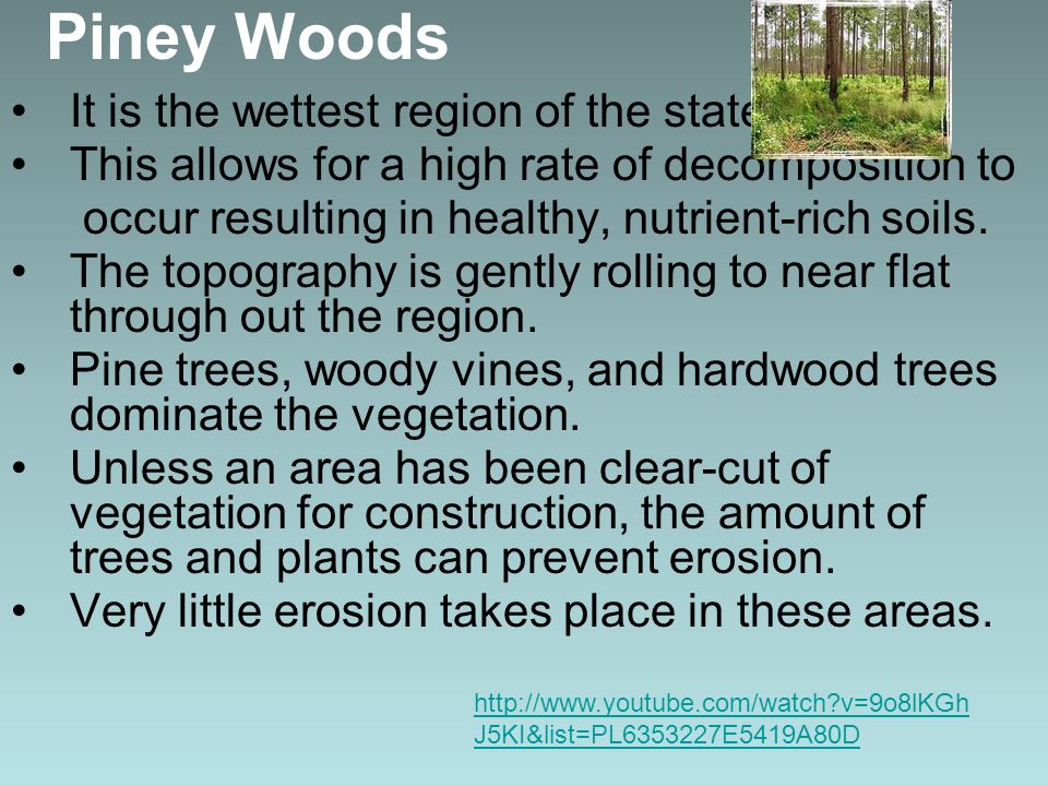 Presentation "Texas Ecoregions Effects of Weathering, Erosion and ... Presentation "Texas Ecoregions Effects of Weathering, Erosion and ...