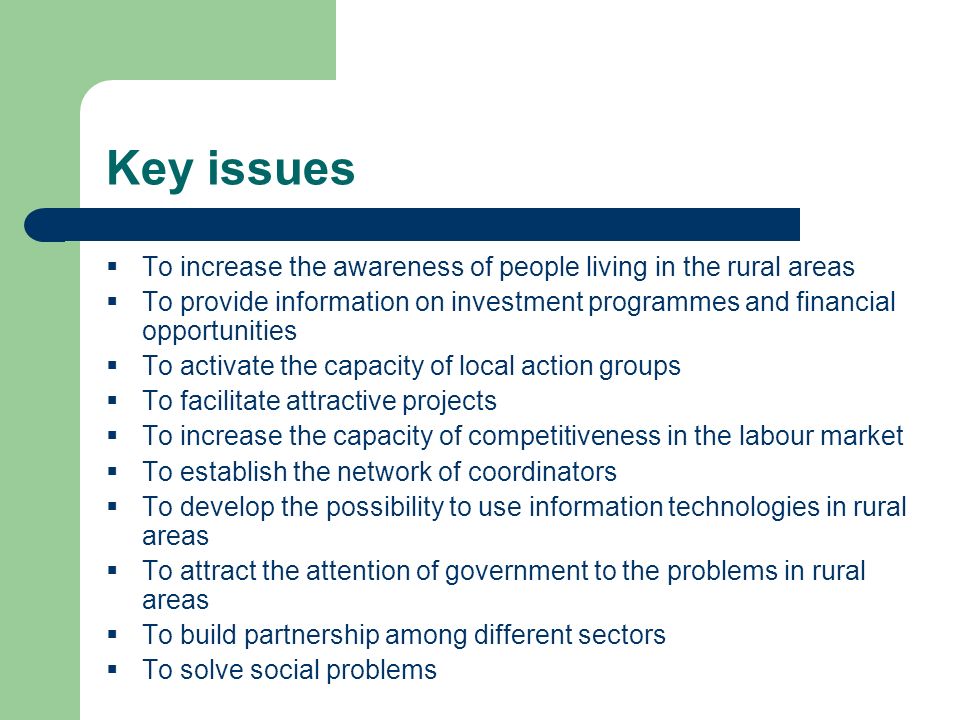Key issues To increase the awareness of people living in the rural areas To provide information on investment programmes and financial opportunities To activate the capacity of local action groups To facilitate attractive projects To increase the capacity of competitiveness in the labour market To establish the network of coordinators To develop the possibility to use information technologies in rural areas To attract the attention of government to the problems in rural areas To build partnership among different sectors To solve social problems