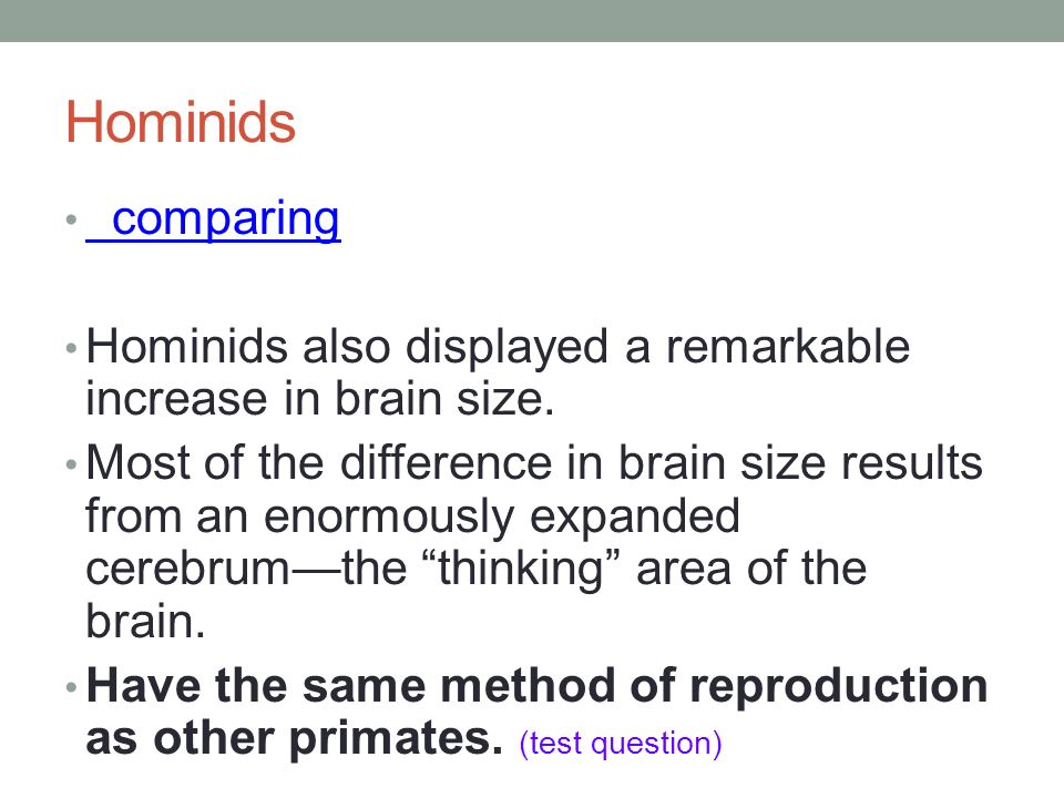 essay comparing humans other primates essay comparing humans other primates