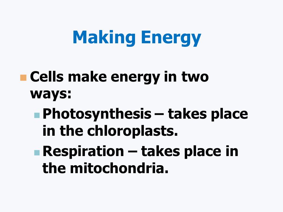chemosynthesis equation sugar chemosynthesis equation sugar