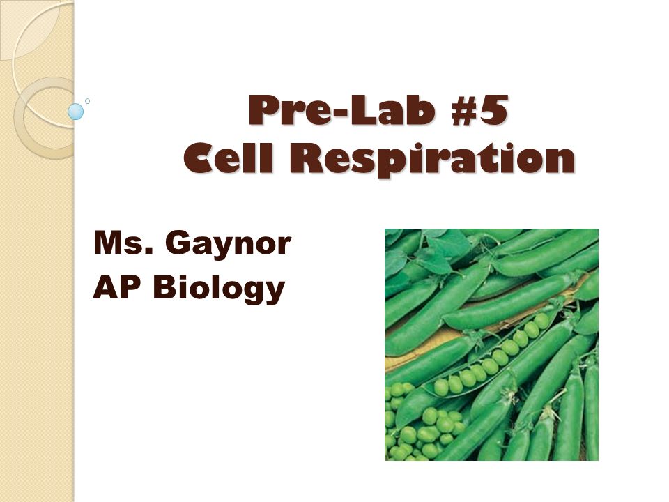 essays on cell biology Essay on cell— an open system biology, cell, essay on cell this website includes study notes, research papers, essays. essays on cell biology Essay on cell— an open system biology, cell, essay on cell this website includes study notes, research papers, essays.
