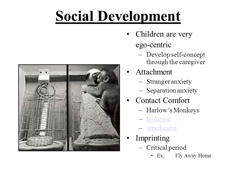 human development from childhood to late adulthood Human development late adulthood and end of life print this is due to the fact that the unfolding of human development lifespan is the base of our problems. human development from childhood to late adulthood Human development late adulthood and end of life print this is due to the fact that the unfolding of human development lifespan is the base of our problems.