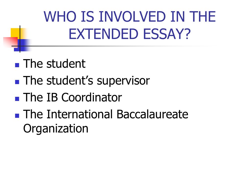 word count essay rules word count essay rules