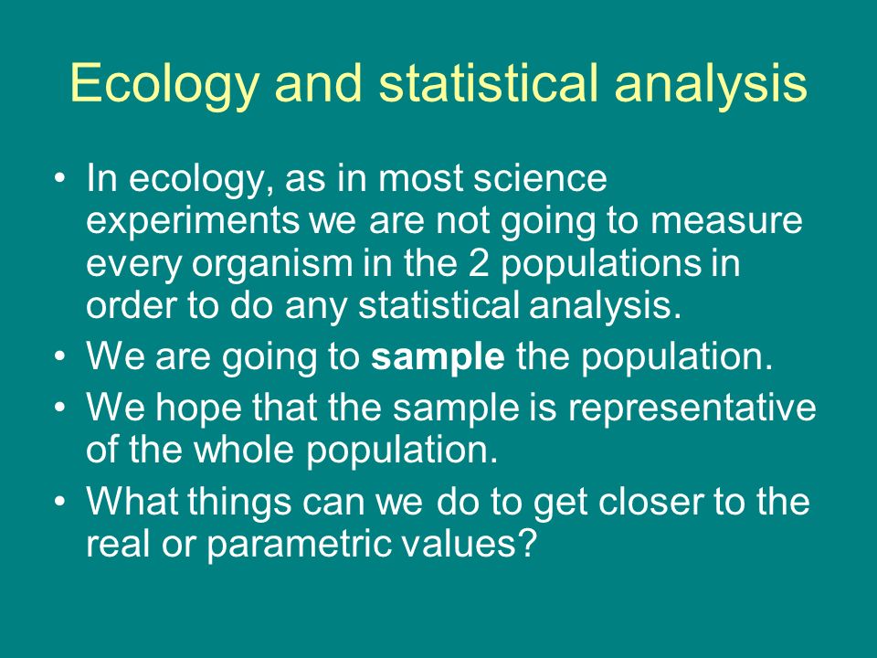 essay about ecology essay about ecology