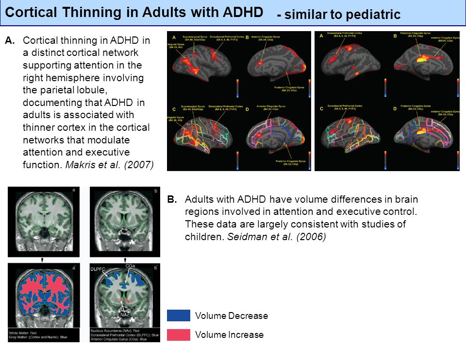 Adhd studies 2007