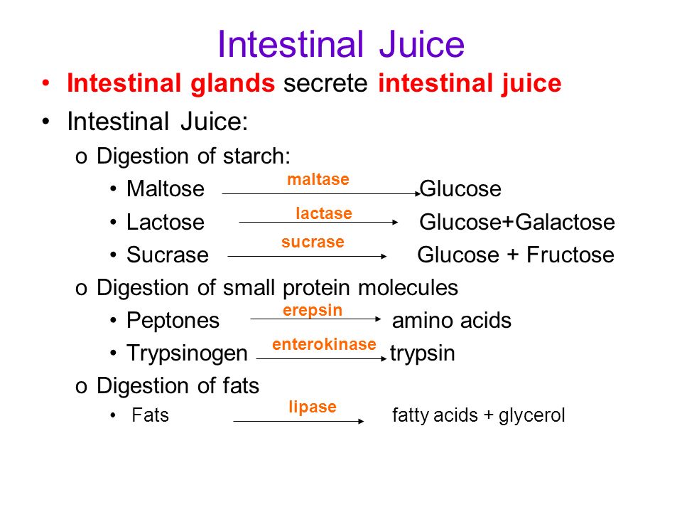 digestive juices and enzymes
