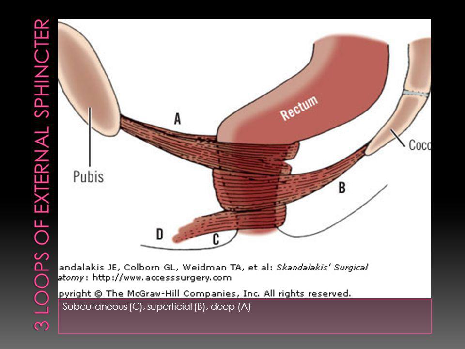 How deep is anal cavity Facial consultation forms