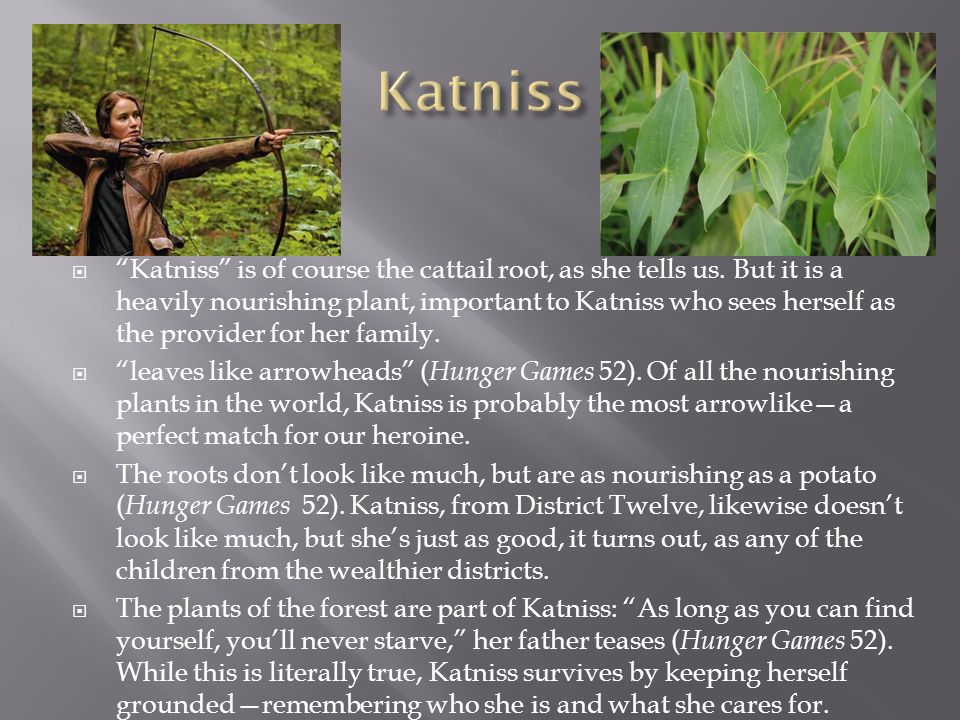 Katniss Root Symbolism