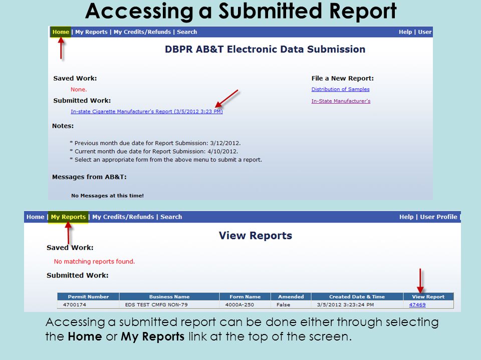 Accessing a Submitted Report Accessing a submitted report can be done either through selecting the Home or My Reports link at the top of the screen.