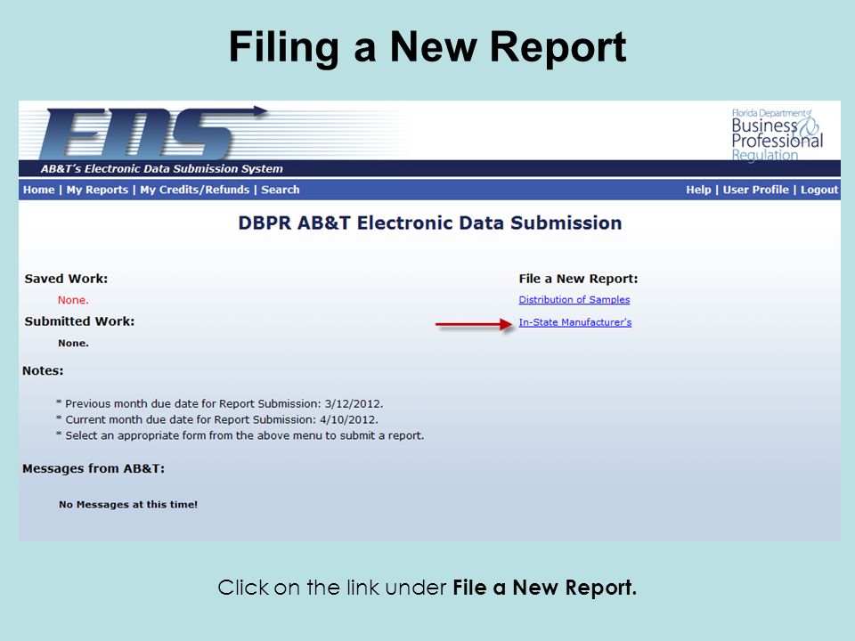 Click on the link under File a New Report. Filing a New Report