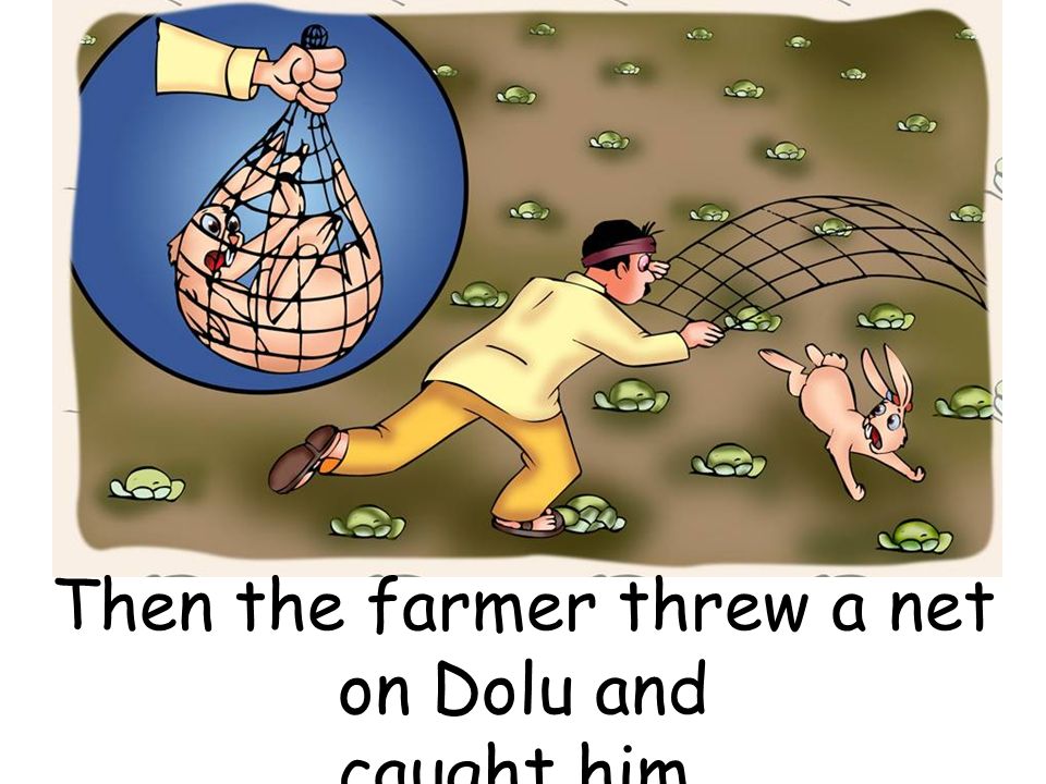 Then the farmer threw a net on Dolu and caught him.